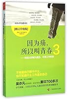 We Call It Youth (Chinese Edition) 7555105594 Book Cover