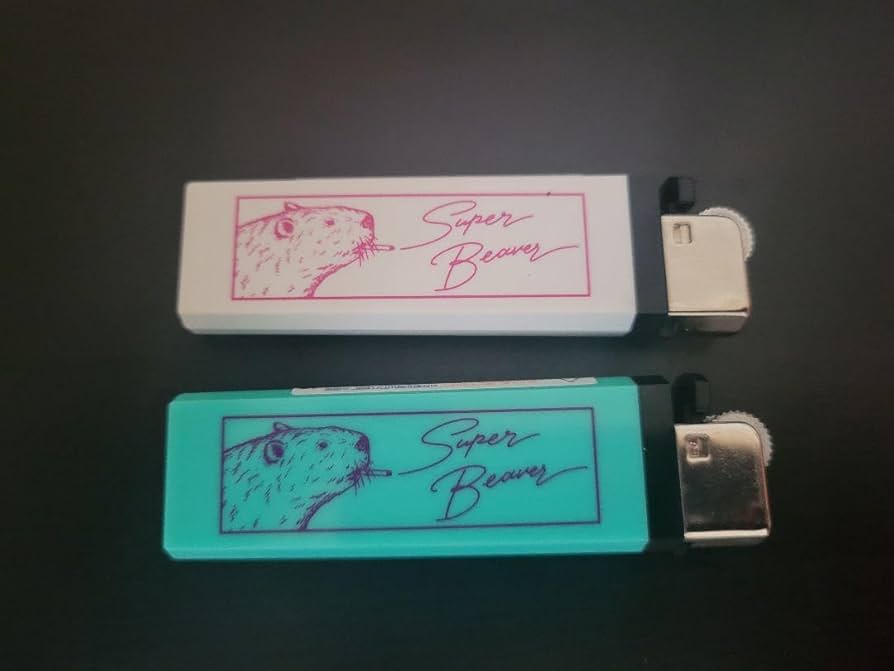 SUPER BEAVER 愛する & 27 セット　スーパービーバー　帯つき SUPER BEAVER 愛する & 27 セット スーパービーバー 帯つき