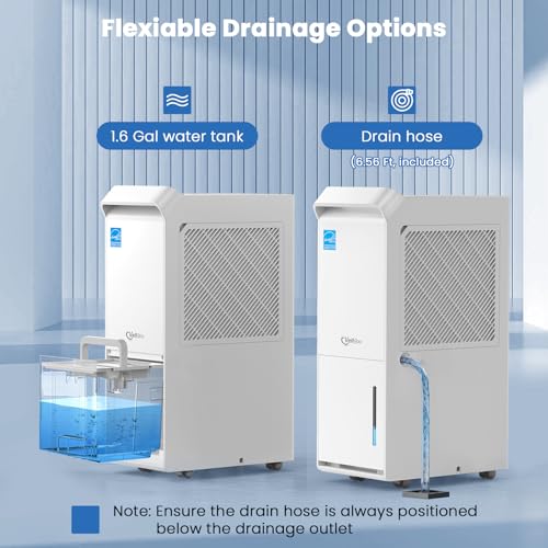 Commercial Grade Dehumidifier for Basements