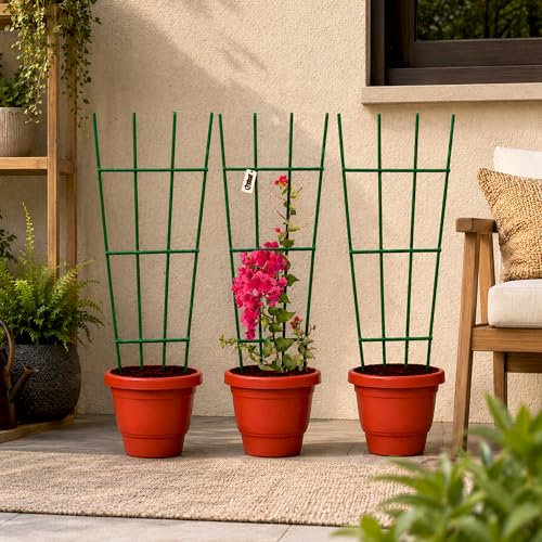 Image of Urban Plant Greenweave Trellis for Climbing Plants (24 Inch) | Metal Plant Support for Money Plant, Ivy, Creepers & Vines | Powder Coated Weather Resistant Plant Climber Support (Green Pack of 3)
