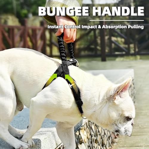 Image of PUPTECK No Pull Dog Harness Small Sized Dog, Adjustable Reflective Pet Vest Harness with Bungee Handle, Escape Proof No Choke Harness for Small Dogs Walking Training, Black S