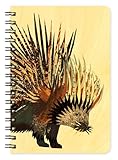 Porcupine Wooden Pocket Notepad by Dolan Geiman and Night Owl Paper Goods