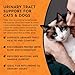 Animal Essentials Tinkle Tonic - Dog & Cat Urinary Tract Support, Kidney Supplement, Supports Urinary Tract, Bladder Health for Pets, with Marshmallow - 2 fl oz