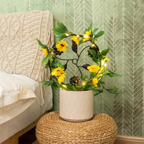 2-Pcs-14in-Indoor-Metal-Garden-Circle-Plant-Trellis-for-Houseplant-Climbing-Pot-Plants-Black-Style-E 2 Pcs 14in Indoor Metal Garden Circle Plant Trellis for Houseplant Climbing Pot Plants Black Style E