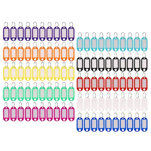 JIANTA 100 Pack Key Tags with Labels, Plastic Key Rings with Labels, Pets Memory Stick ID Label Tag Luggage Id Labels Name Tags Id Tags Key Fobs with Labels