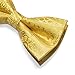 DiBanGu Fashion Gold Paisley Bowties Men's Pre-Tied Bow tie and Handkerchief Cufflinks Set Silk Jacquard Adjustable