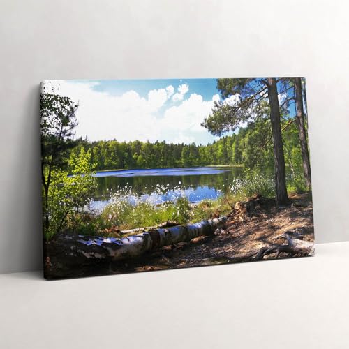 Toile vue sur le lac dans la forêt Wallfluent peinture murale pour salon apaisant
