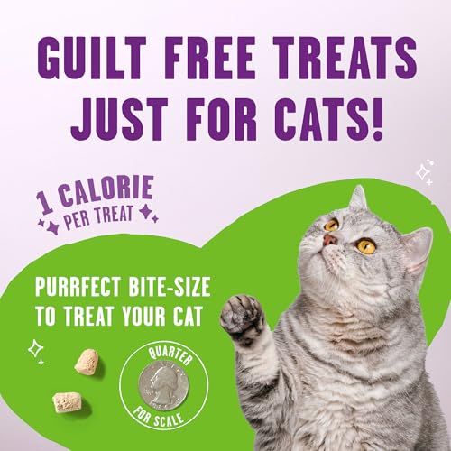 Image of Stella & Chewy's Meowfulls Freeze Dried Cat Treats - Turkey & Duck Recipe - Raw Protein with Probiotics & Salmon Oil - 1 Calorie Per Treat - 1.5 oz