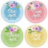 PAMBO Monthly Baby Stickers | Waterproof Milestone Newborn Boys & Girls Flower Stickers | Perfect for Celebrations / Photo Keepsake / Baby Shower Gift Idea | 16in1