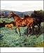 Lucy Kemp-Welch 1869-1958: The Life and Work of Lucy Kemp-Welch, Painter of Horses