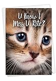 NobleWorks, Miss U Kitties - Cute Miss You Card with Envelope - Goodbye, Thinking of You Notecard -...