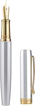 HONG DIAN N11 Fountain Pen, Gold-Coated Fine Soft Nib, Platinum Silver & Octagonal Geometric Design with Metal Case Set
