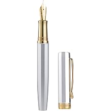 HONG DIAN N11 Fountain Pen, Gold-Coated Fine Soft Nib, Platinum Silver & Octagonal Geometric Design with Metal Case Set
