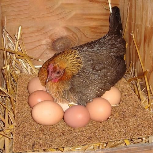 Coussinets de nidification poulet 10pcs tapis de ponte lavable et confortable pour chick coop