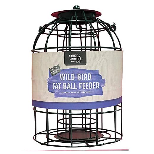 Kingfisher Mangeoire à Boule de Graisse, avec Protection Contre Les écureuils