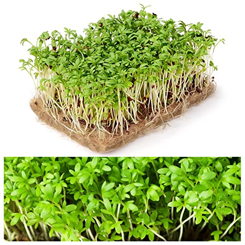 Torinalital 10 Pack Natural Jute Microgreens Grow Mats, 10X20 Inches Hydroponic Grow Pads For 1020 Growing Trays Sprouting Tray Jute Fiber Seed Starter Planting For Micro Greens & Wheatgrass #TOP5
