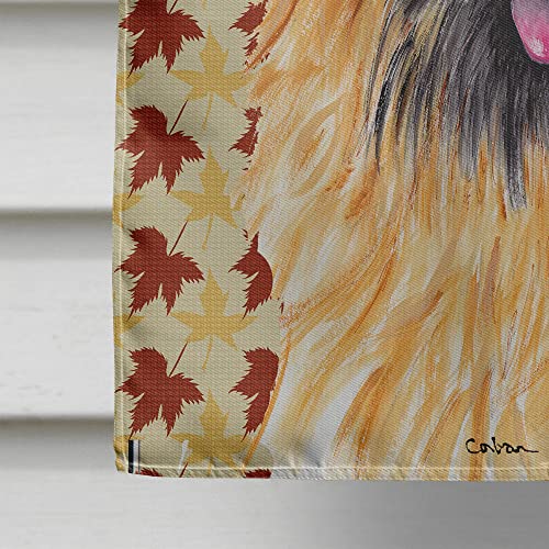 Drapeau Cairn Terrier grand format motif automne pour maison - 5