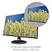 HP 27-inch FHD IPS Monitor with Tilt Adjustment and Anti-Glare Panel (27yh, Black) - 3UA74AA#ABA