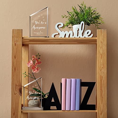 Yinder 12 Pcs Appreciation Awards For Coworker Acrylic Plaque Thank You Gift For Employee Colleague Leaving Job Gifts Farewell Appreciation Gifts For Women Men Friends Nurse Teacher Keepsake (Heart) #TOP4