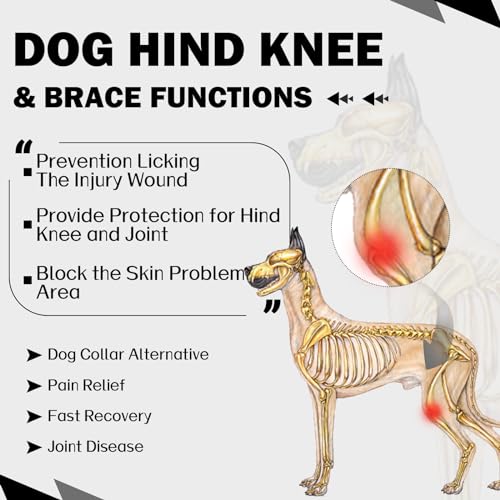 Image of ROZKITCH Dog Sleeve to Prevent Licking for Rear Right Left Leg, Adjustable Pet Leg Sleeve Anti Licking Wound Elbow Protector for Sprain ACL CCL Arthritis Joint Care Black XS