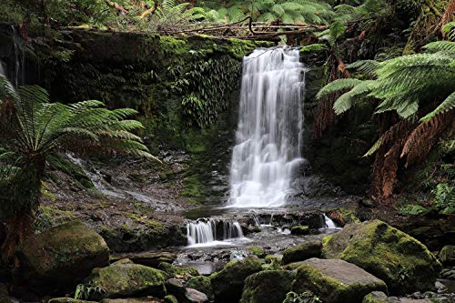 Canon EOS 200D Digitale Spiegelreflexkamera Set + 18-55mm Objektiv ✪ - 9