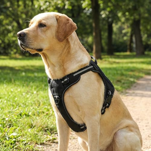 Image of Amazon Basics No-Pull Dog Harness, Adjustable Front Clip, Escape Proof Tactical Vest, X-Large, Black
