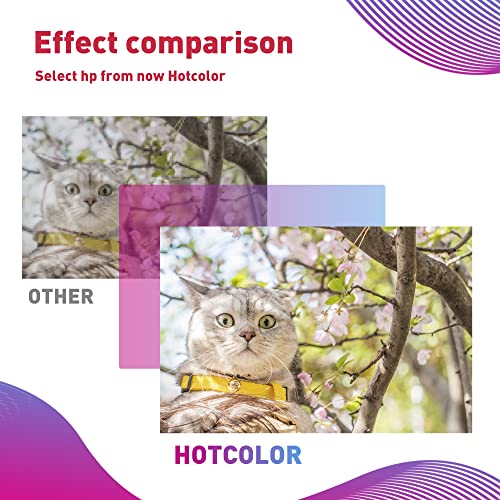 Hotcolor Compatible Lexmark 100Xl Ink Cartridges For Lexmark S301 S305 S605 S405 S505 Pro901 Pro905 Pro805 Pro705 Pro205 Pro206 Pro207 S815 S816 Printer (Black Cyan Magenta Yellow,4Pack) #TOP6