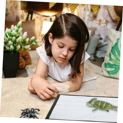 Alfombrilla térmica para reptiles Toyvian 29.3x29.3x0.3 cm miniatura 6