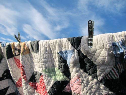 Henry Berry & Dairy EP1 Extreme Clothespins thumb #4