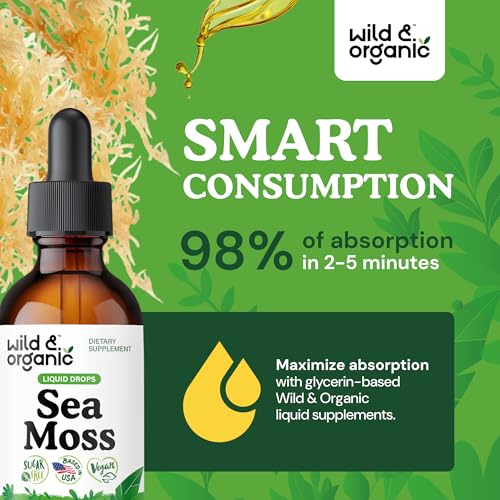 Wild & Organic Sea Moss + Bladderwrack Liquid Drops (2 fl oz, 84 servings) — view 4