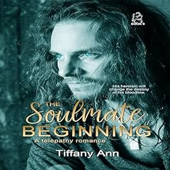 The Soulmate Beginning cover art