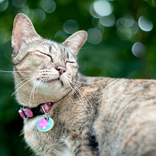 Renaissancey Funny Pet Tag Funny Dog Tag Dog Collar Tag Pet Id Tag Funny Dog And Cat Tags Engraved Pet Id Tags For Dogs - Personalized Stainless Steel Identification Tags, I'm Chipped #TOP2