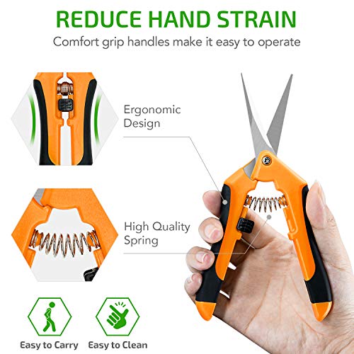 Ipower Glprnr6Or Orange 6.5 Inch Gardening Pruning Shears Hand Scissors With Straight Stainless Steel Blades For Trimming Herbs, 1-Pack #TOP3