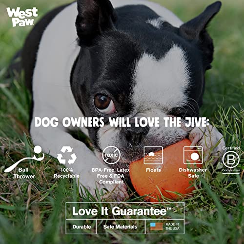 West Paw Zogoflex Jive Ball Dog Chew Toy – Bouncing Toys For Dogs, Fetch, Catch, Chewing, Play – Floatable, Recyclable Balls – Latex-Free, Non-Toxic, Dishwasher Safe Dog Toy, Large 3.25", Aqua Blue #TOP2