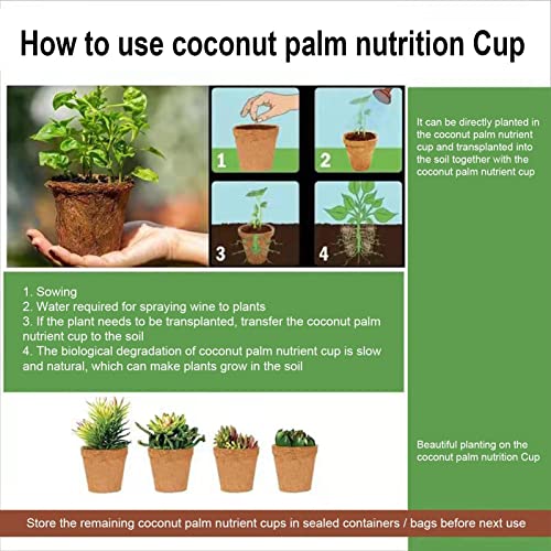 2 Coco | Kit Iniciante Semente Jardim - Pote Turfa Germinação Muda, Vasos Berçário Fibra Coco para P