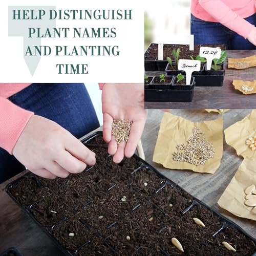 Pflanzenschilder, Plastik Pflanzenschilder zum beschriften, Wetterfest T-Form Beschriften Stecketiketten für Draussen,Garten Pflanzenmarker, Saatgut Beschriftungsschilder (100 Weiß - 2 Stil)
