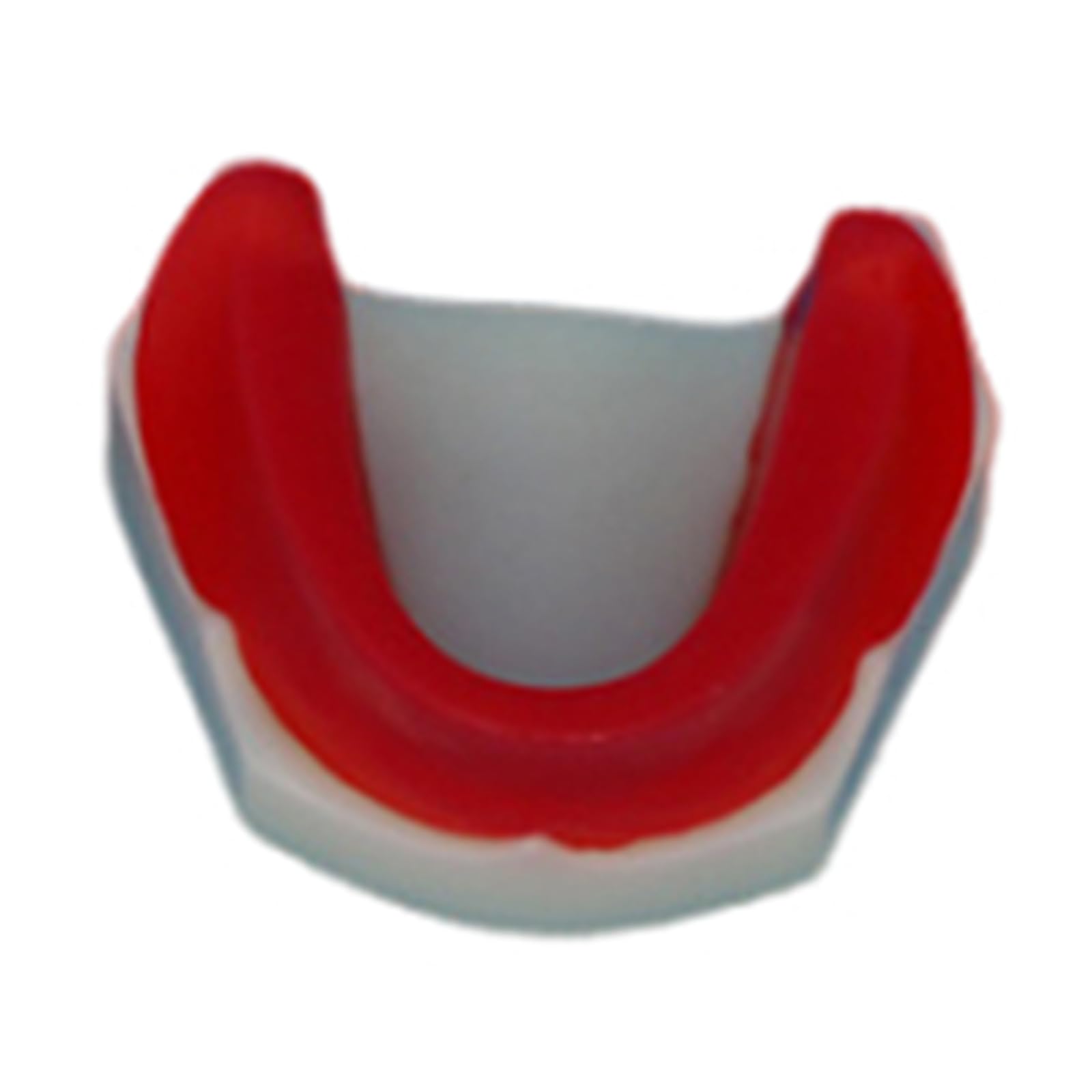 Modello di impianto Dentale - Modello di impianto mandibolare Medico e odontoiatrico - per Studio didattico Displaymedical Model,A14-8cm