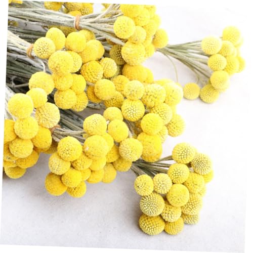 30 piezas de flores secas Craspedia decorativas amarillas miniatura 5
