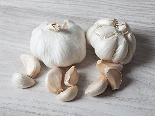 5 kg. Ajo Blanco 2ª Categoria - Selección Gourmet
