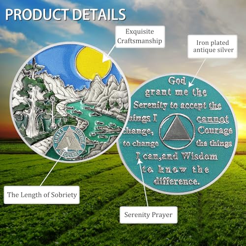 CHURYUML 5 Year Sobriety Chip Five Year Sober Coin Achievement Medalhões Sobriety Gifts for Women Me