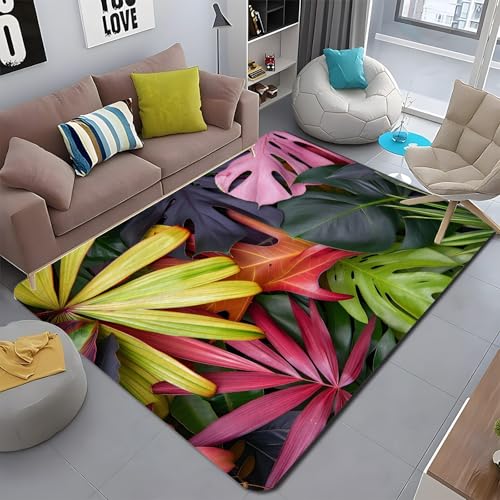 �J�[�y�b�g 3�� �G���A���O �J���t�����[�t ���O �J�[�y�b�g ���r���O���[�� �􂦂郉�O �����X�e�� �h�_�j �h�L �R�� �Չ��� �ϖ��� �O�~ �����` 200x250 cm �A�E�g�h�A�A�L�߃��r���O�A�_�C�j���O�A�t�@�~���[ �n�~ ����~�� �t���A�}�b�g 