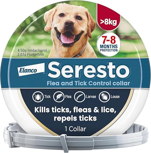 Seresto Flea and Tick Control Collar For Dogs Over 8kg (1 Collar) Long-Lasting & Simple Treatment For Dogs 7-8 Months Of Protection Keeps Pets Protected From Fleas & Ticks