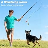 SGZIOO Reizangel Hunde, 102cm Ausziehbar Teleskopstange mit Ersatzseil, Profi Reizangel für Große und kleine Hunde, Aktives Hundespielzeug, Geeignet für Drinnen und Draußen