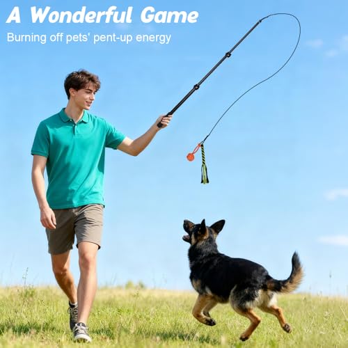 SGZIOO Reizangel Hunde, 102cm Ausziehbar Teleskopstange mit Ersatzseil, Profi Reizangel für Große und kleine Hunde, Aktives Hundespielzeug, Geeignet für Drinnen und Draußen