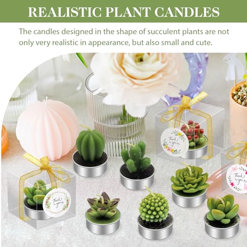 Bougies succulentes pour table de fête : la solution déco sans plastique - 6
