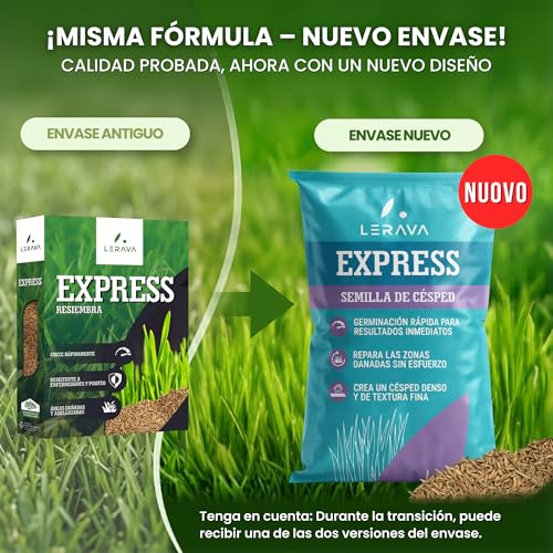 Miniatura 2 de Lerava Express Semillas Césped 30m - Crecimiento Rápido Y Resistente - Ideal Para Jardín Soleado O Con Sombra - Césped Natural De Alta Tolerancia Al Calor - Calidad Italiana - 0,75kg
