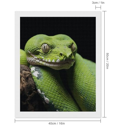 Kit art diamant pour adultes broderie diamant python arbre