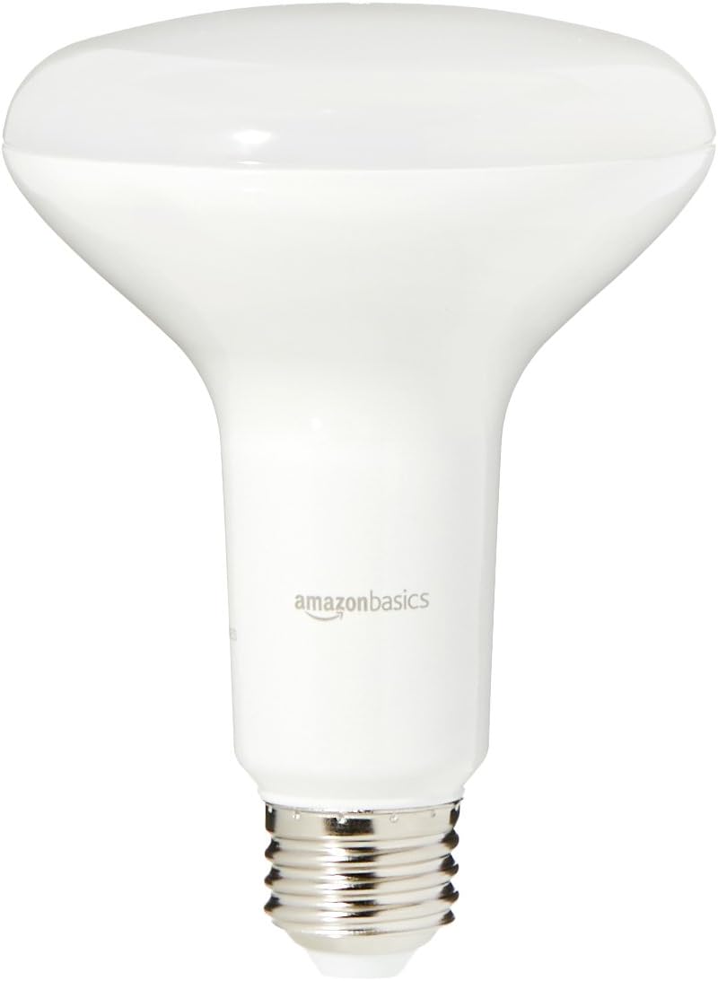 Amazon Basics 65 Watt Equivalent, Daylight, Dimmable, 15,000 Hour Lifetime, BR30 LED Light Bulb | 2-Pack