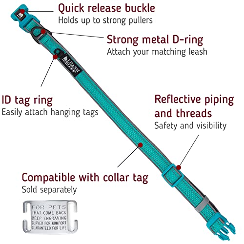 Leashboss Adjustable Reflective Dog Collar, Quick-Release Buckle And Reflective Piping And Threads For Small, Medium And Large Dogs (Medium - Aqua 13.5-19.5" Neck X 1" Wide) #TOP1