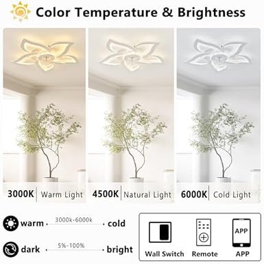 KeLuKes Slimme plafondventilatoren met verlichting, 65 cm plafondventilatoren met lampen, werken met Alexa en Google Assistant, stille timer, dimbaar, omkeerbaar licht met ventilator voor slaapkamer, photo 2